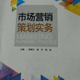 市場(chǎng)營(yíng)銷(xiāo)策劃實(shí)務(wù) 從戰(zhàn)略藍(lán)圖到落地執(zhí)行的系統(tǒng)指南